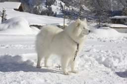 Kandersteg 2013